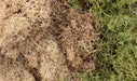 Woodland Scenics G6500 All Game Terrain Winter Mix EZ Bushes