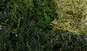 Woodland Scenics G6501 All Game Terrain Summer Mix EZ Bushes