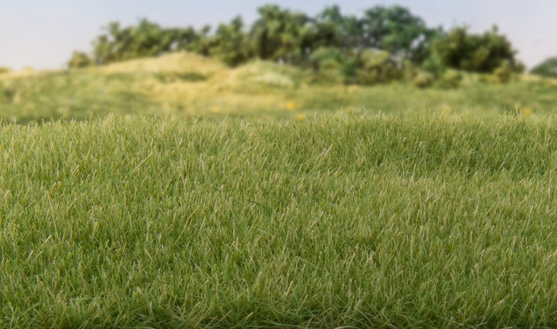Woodland Scenics G6572 All Game Terrain 4mm Med. Green Static Grass