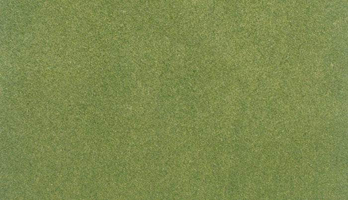 Woodland Scenics RG5121 ReadyGrass 50"x 100" Grass Mat, Spring