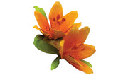Woodland Scenics T4646 Pollen, Orange (1.8 cu. in.)