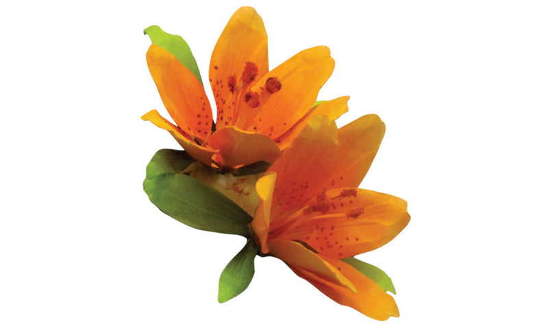 Woodland Scenics T4646 Pollen, Orange (1.8 cu. in.)