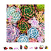 Zen Chalet SS500 Succulent Sensation 500 Piece Wooden Puzzle