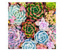 Zen Chalet SS500 Succulent Sensation 500 Piece Wooden Puzzle