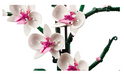 10311 LEGO® Orchid