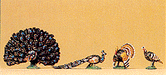 Preiser 10166 HO Scale Turkeys and Peacocks 4 Pack