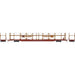 Athearn Genesis G69588 HO Scale F89-F Bi-level Auto Rack Northern Pacific NP 913435