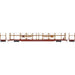 Athearn Genesis G69589 HO Scale F89-F Bi-level Auto Rack Northern Pacific NP 913604
