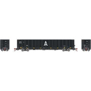 Athearn Genesis G78603 HO Scale NSC 6000 Gondola with Load AIMX 20188