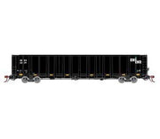 Athearn Genesis G78607 HO Scale NSC 6000 Gondola with Load IMRX 2339