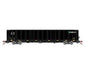 Athearn Genesis G78610 HO Scale NSC 6000 Gondola with Load TLPX 2232