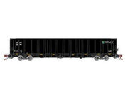 Athearn Genesis G78611 HO Scale NSC 6000 Gondola with Load TLPX 2248