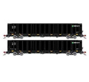 Athearn Genesis G78613 HO Scale NSC 6000 Gondola with Load TLPX 2 Pack #2