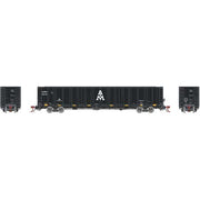 Athearn Genesis GN6718 N Scale NSC 6000 Gondola with Load AIMX 20149