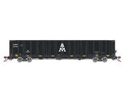 Athearn Genesis GN6719 N Scale NSC 6000 Gondola with Load AIMX 20188