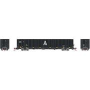 Athearn Genesis GN6719 N Scale NSC 6000 Gondola with Load AIMX 20188