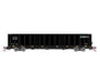 Athearn Genesis GN6727 N Scale NSC 6000 Gondola with Load TLPX 2248