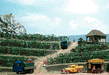 Busch 1200 Grape Vine Field Kit