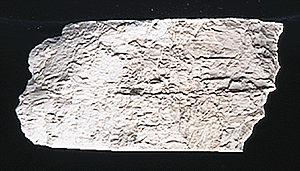 Woodland Scenics C1217 Earth Color - Concrete (4 oz.)