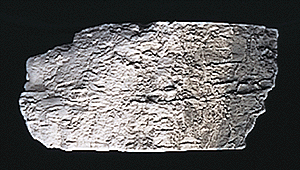 Woodland Scenics C1218 Earth Color - Stone Gray (4 oz.)