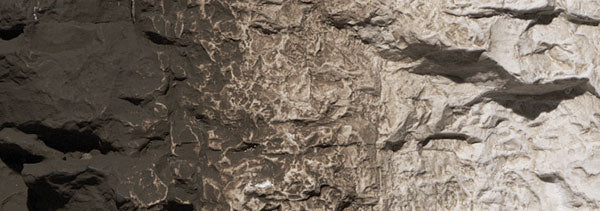 Woodland Scenics C1221 Earth Color - Raw Umber (4 oz.)