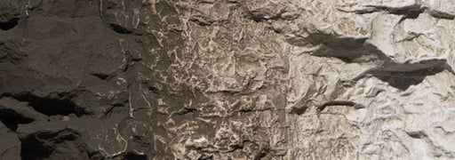 Woodland Scenics C1221 Earth Color - Raw Umber (4 oz.)