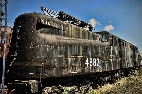 Cwerkz Studios Fine Art Print "Tired ole 4882" 8" x 20"