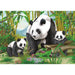 D-Toys 60198AN04 (41-07650) Panda 35 Piece Jigsaw Puzzle