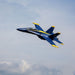E-flite 13950 F-18 Blue Angels 80mm EDF PNP Electric Airplane