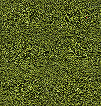 Woodland Scenics FC136 Underbrush Bag - Medium Green (18 cu. in.)