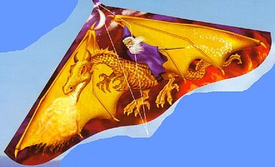 Gayla 110 42" Dragon Wizard Kite