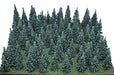 Heki Mini Forrest 309 1.5" to 3" Pine Trees 100 Pack