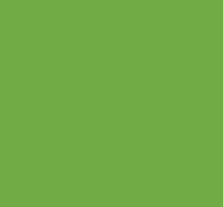 HWS 9x12 Lime Vinyl Sheet