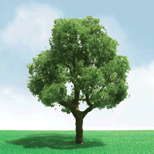 JTT 92401 Deciduous Trees 5.5" Pro-Elite O Scale, 1 Pack