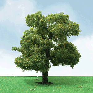 JTT 92410 Sycamore Trees 8" Pro-Elite O Scale, 1 Pack