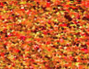 JTT 95056 Turf Blended Late Fall, Medium, Bag 30 cu in