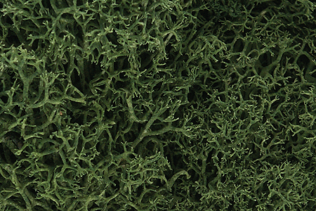 Woodland Scenics L163 Lichen Bag, Medium Green (82 cu. in.)