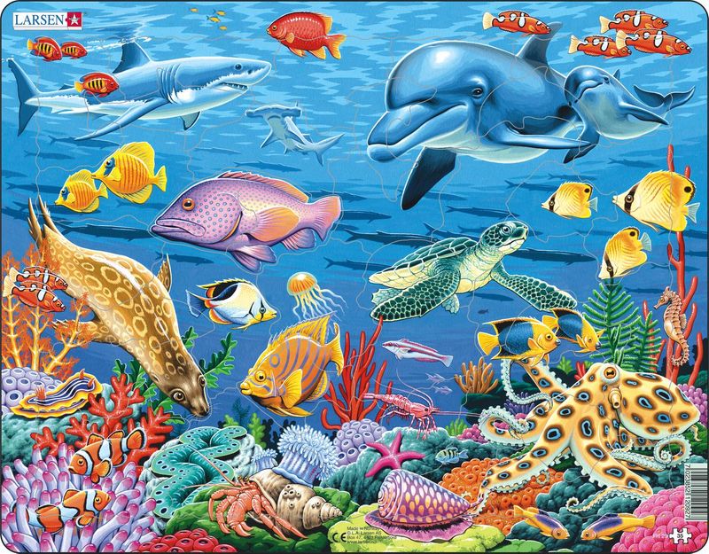 Larsen Puzzles 7006 Coral Reef Children's 35 Piece Jigsaw Puzzle