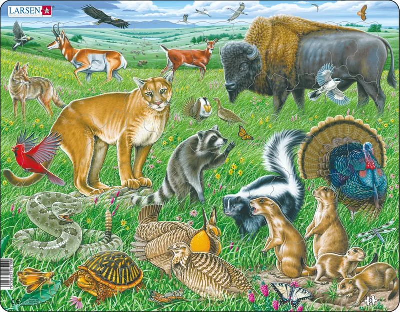 Larsen Puzzles 7110 American Prairie Children's Educational 53 Piece Jigsaw Puzzle