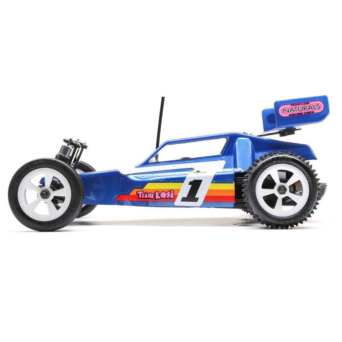 LOSI LOS01020T2 Mini JRX2 1/16 2WD Buggy - Blue