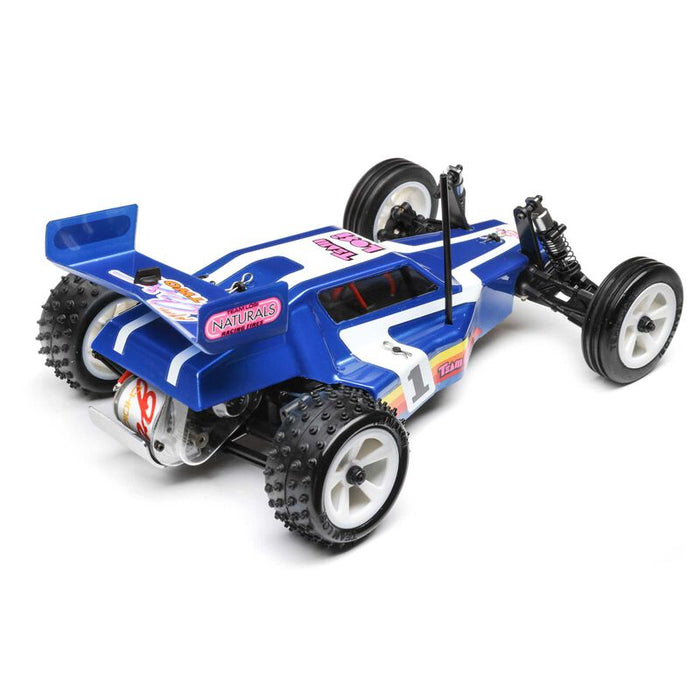 LOSI LOS01020T2 Mini JRX2 1/16 2WD Buggy - Blue