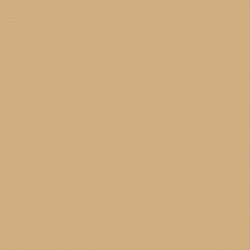 Mission Models MIOMMP-010 Gelbbraun RAL 8020 Acrylic Paint 1oz