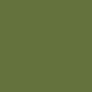 Mission Models MIOMMP-054 Dunkelgrün RLM 83 Acrylic Paint 1oz