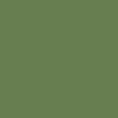 Mission Models MIOMMP-059 US Interior Green (FS 34151) Acrylic Paint 1oz