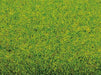 Noch 00020 Large Grass Mat Spring Meadow (Medium Green) 300x100cm