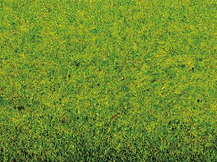 Noch 00020 Large Grass Mat Spring Meadow (Medium Green) 300x100cm