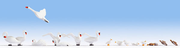 Noch 15774 HO Scale Figures Swans and Ducks