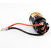Powerhobby MT013 550 Size 21T Brushed Motor