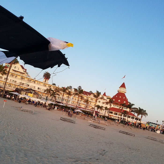 Revolution Eagle Raptor 4 Line Stunt Kite with Lines and Handles