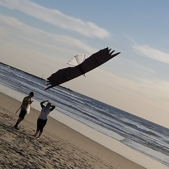 Revolution Eagle Raptor 4 Line Stunt Kite with Lines and Handles